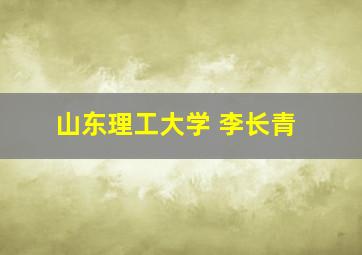 山东理工大学 李长青